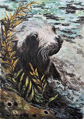 Sea Lion Watercolor