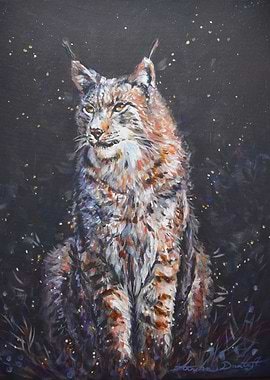 Lynx Under a Starry Sky