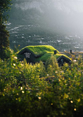 Whispers of the Earth