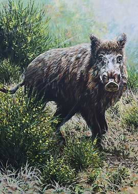 Wild Boar Painting