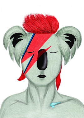 Koala 'David Bowie'