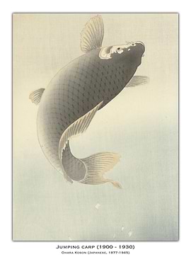Jumping Carp