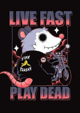 Opossum on Motorcycle