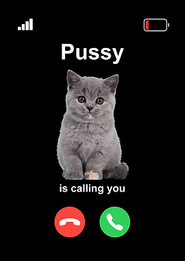 Cat Calling Phone Meme