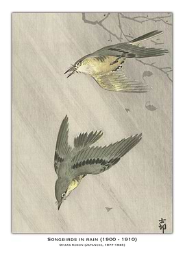 Songbirds in Rain