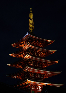 Japanese Pagoda at Night