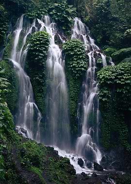 Waterfall in Lush Jungle