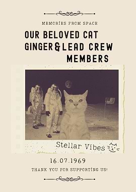 Cat on the Moon Vintage Funny Photo