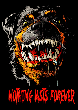 Rottweiler Skull Graphic