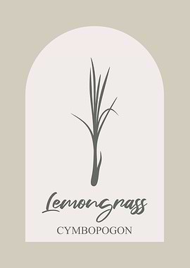 Lemongrass Illustration