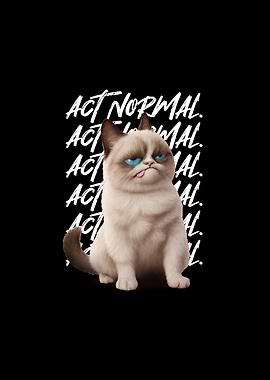 Funny Cat Act Normal