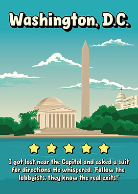 Washington D.C. Funny Review Travel Poster