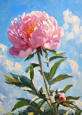 Bloom in Peony