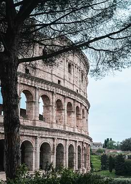 Colosseum in Rome