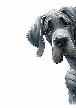 Great Dane Peeking