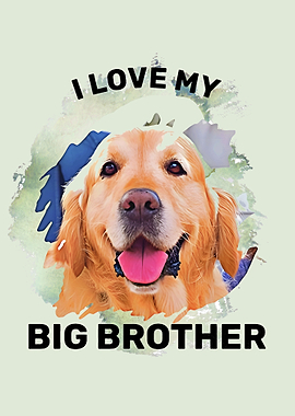 Golden Retriever Big Brother