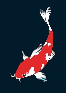Red Koi Fish Illustration