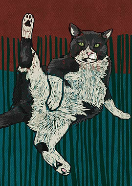 Yoga Master Cat Edition