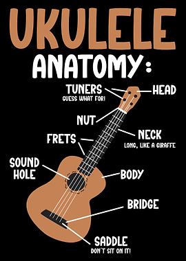 Ukulele Anatomy Ukulele Lover Ukulele Player Ukulelist