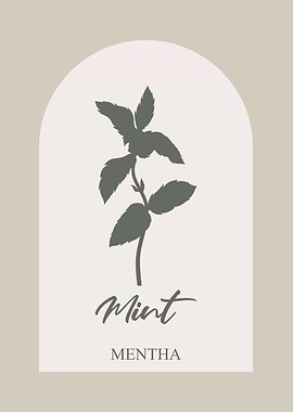Mint Herb Botanical Print