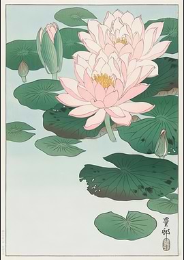 Water Lily Print