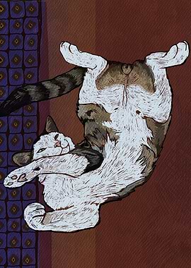 The Art of Maximum Comfort