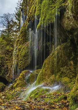 Moss-Covered Waterfall