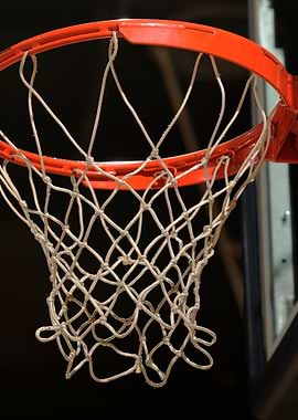 Basketball Hoop Net