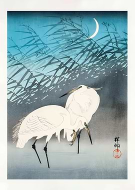 Japanese Cranes Under Moon