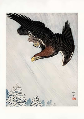 Japanese Eagle in Flight
