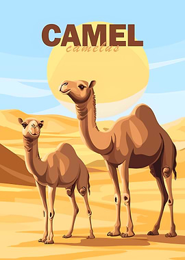 Camel Illustration