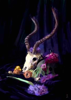 Animal Skull Still Life