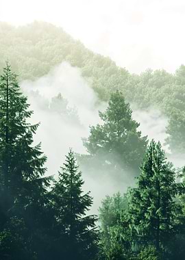 Misty Forest Landscape
