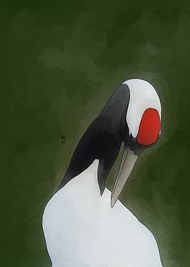 Red-Crowned Crane Illustration