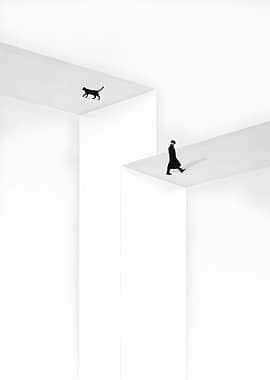 Black Cat and Man on White Platforms
