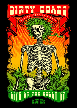 Dirty Heads Concert Poster