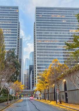 City Street with Skyscrapers