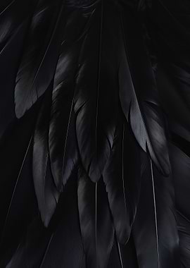 Black Feathers Texture - Gothic Atomosphere