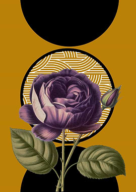 Purple Rose with Geometric Circles