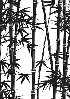 Black and White Bamboo