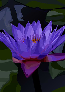 Purple Lotus