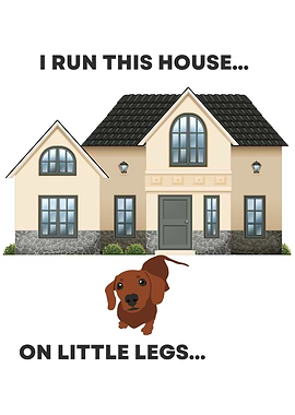 Dog Runs the House
