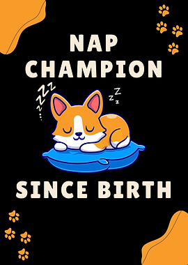 Nap Champion Dog