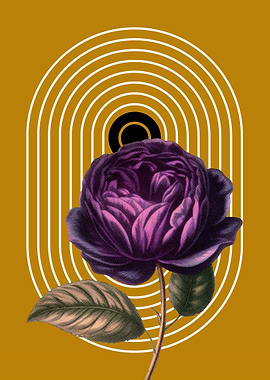 Purple Rose with Geometric Pattern