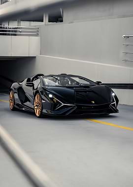 Black Lamborghini Roadster