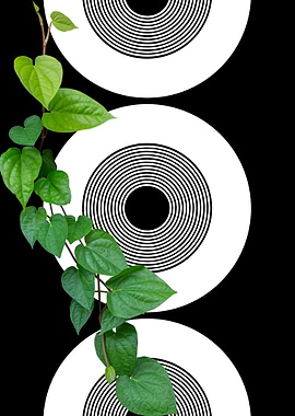 Green Vine and Circles