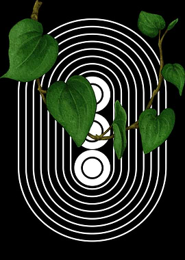 Green Leaves and White Arcs