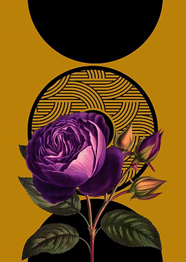 Purple Rose with Geometric Pattern
