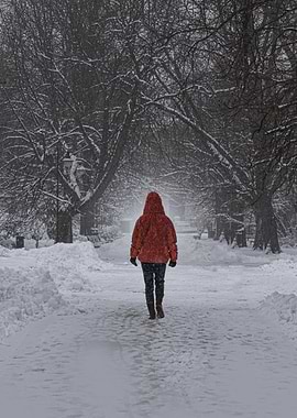 Snowy Walk