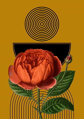 Rose with Geometric Shapes